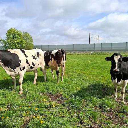 شقة Naeve - Gemuetliche Auf Dem Lande Mit Zwei Schlafzimmern Barderup